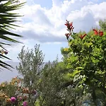Daire By The Sea Grscica, Korcula - 9228