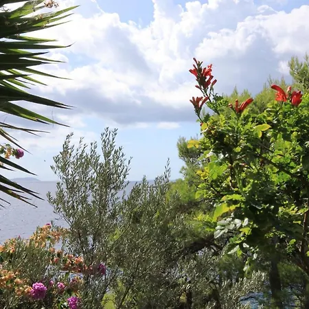 Apartmán By The Sea Grscica, Korcula - 9228