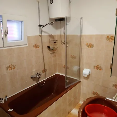 Apartments By The Sea Grscica, Korcula - 9228 Apartment Prizba
