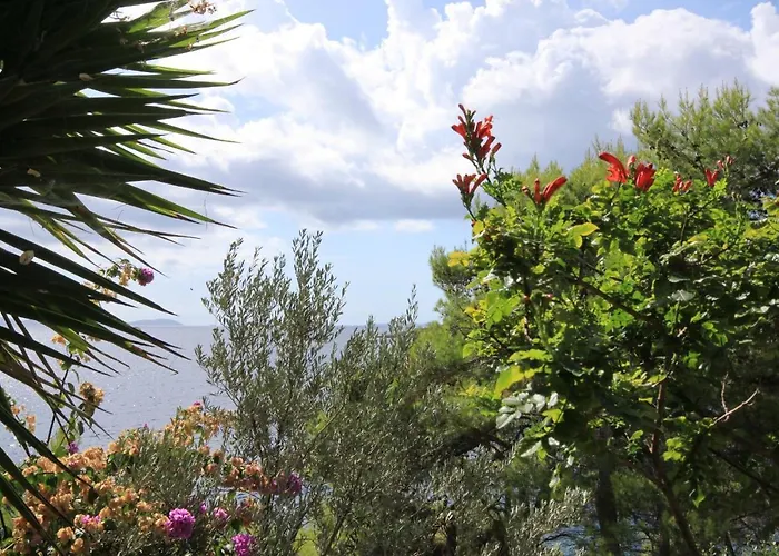 Appartamento By The Sea Grscica, Korcula - 9228